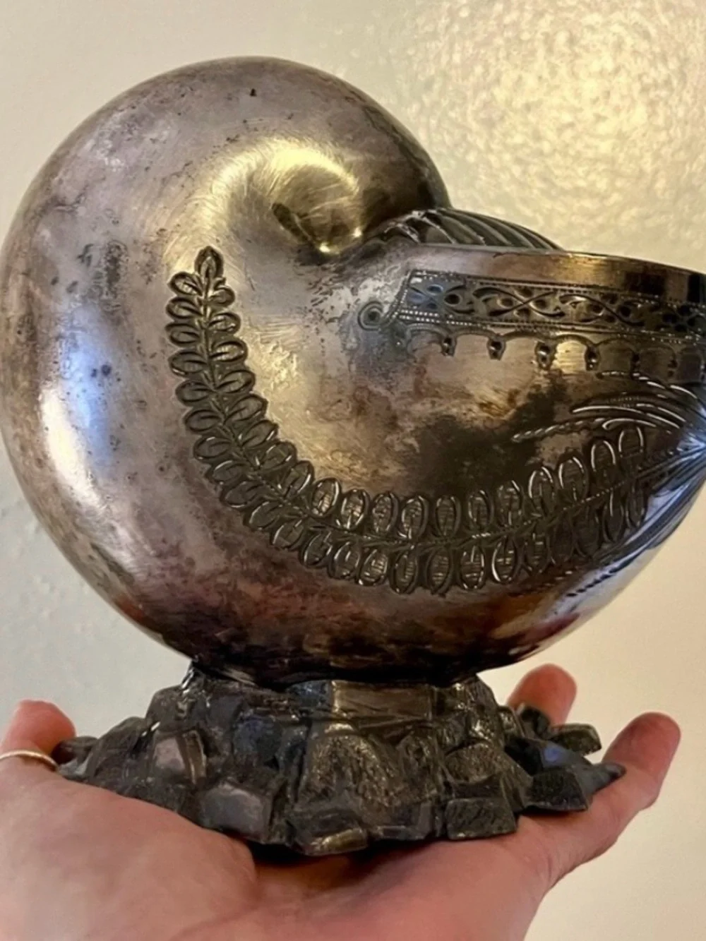 Antique Nautilus Spoon Warmer
